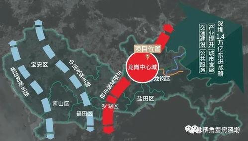 深圳市八卦最新爆料新闻,深圳某神秘事件引发热议